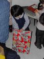 babbo natale 032_tm.jpg